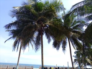 IMG_20210612_145821_111