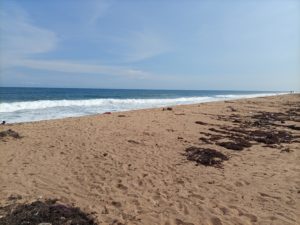 IMG_20210612_150141_315