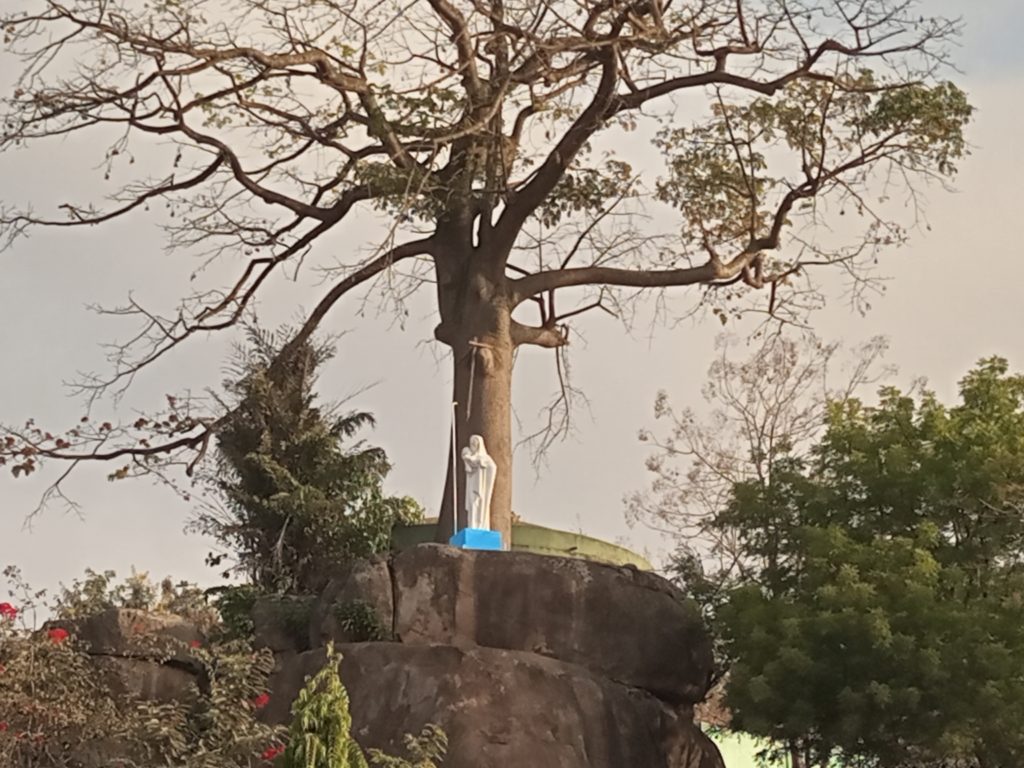 IMG_20220205_080819_135