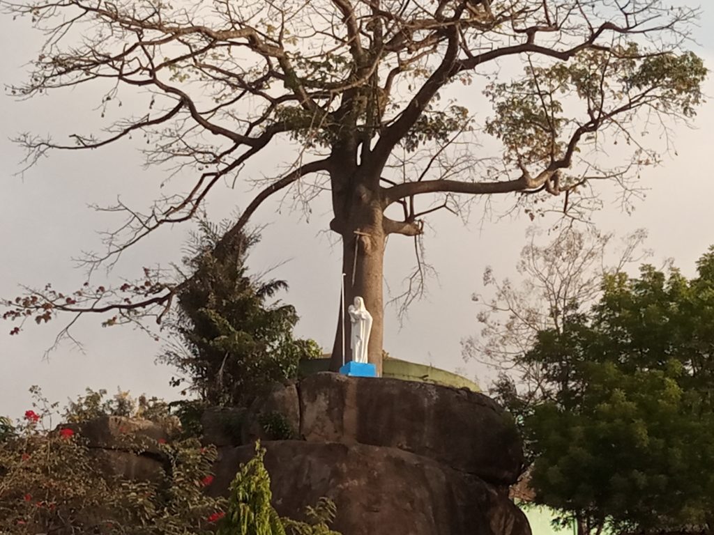 IMG_20220205_080819_769